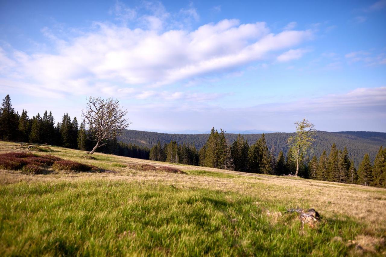 Bungalows Rogla Zreče Екстериор снимка