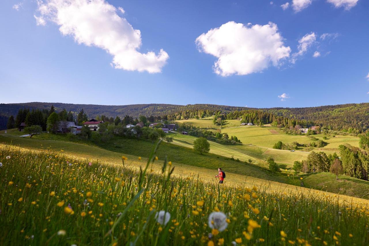 Bungalows Rogla Zreče Екстериор снимка