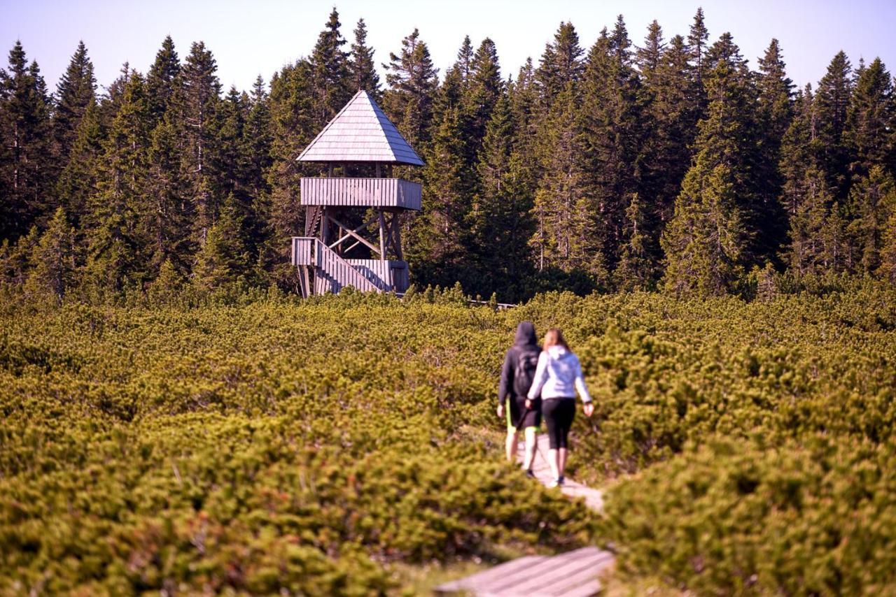 Bungalows Rogla Zreče Екстериор снимка