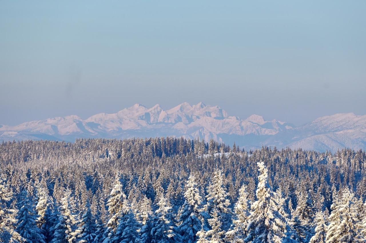 Bungalows Rogla Zreče Екстериор снимка